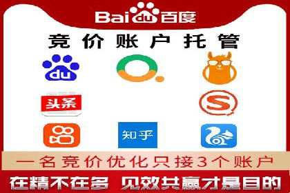 SEM外包策略在电商平台的成功案例